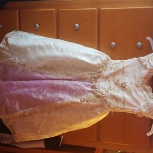 Disney princess dress
